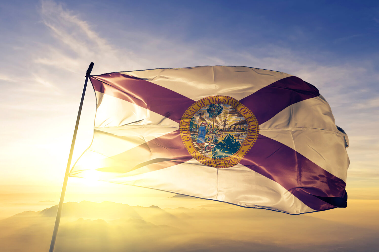 What is the Florida Sunshine Law? | Woodward, Pires & Lombardo, P.A.